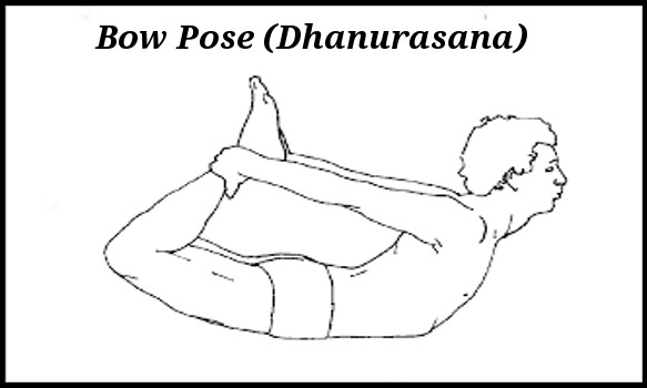 Yoga Poses for Optimal Digestion