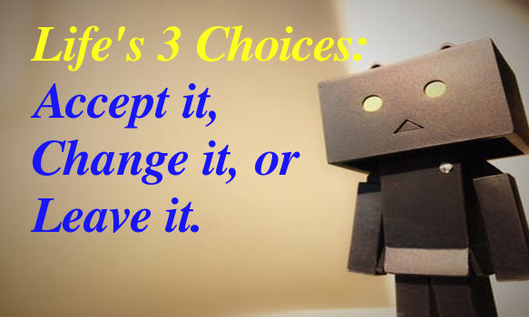 Life's 3 choices