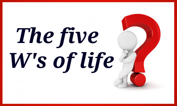 The five W's of life
