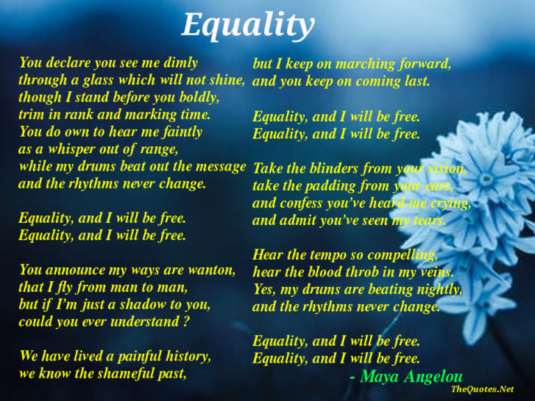 write a critical essay about the poem equality
