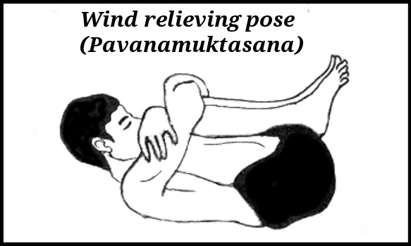 Yoga Poses in English and Sanskrit - Yoga Paper
